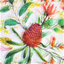 20 Sheets x Australian Floral Tissue Paper Sheets
