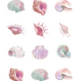 Sea Shells Edible Cupcake Images