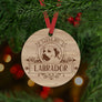 Labador Dog Ornament - Aston Blue
