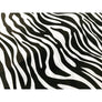 Zebra Tissue Paper Sheets - Aston Blue