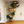 12. "Wild One" - DIY Balloon Garland Kit