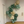 43. "Dino-mite" - DIY Balloon Garland Kit