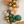 44. "Into the Wild" - DIY Balloon Garland Kit