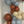 7. "Bear-y Cute" - DIY Balloon Garland Kit