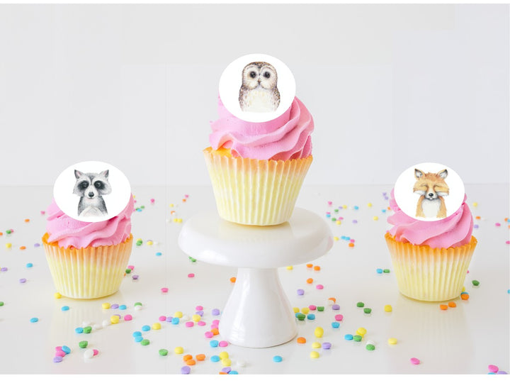 Dream Big Little One Edible Cupcake Images