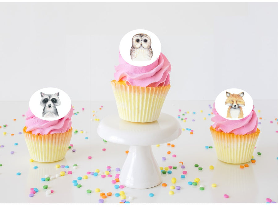 Dream Big Little One Edible Cupcake Images