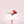 Waratah Edible Icing Image