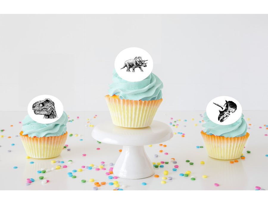 Dinosaur Edible Cupcake Images