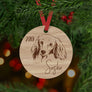 Dachshund Dog Ornament - Aston Blue