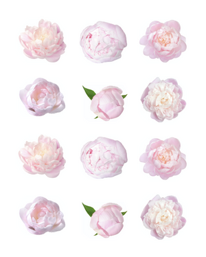 Peony Edible Cupcake Images