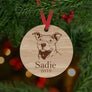 Pitbull Dog Ornament - Aston Blue