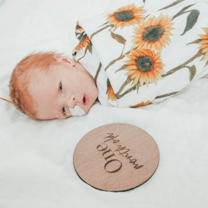 Milestone Plaques - Aston Blue