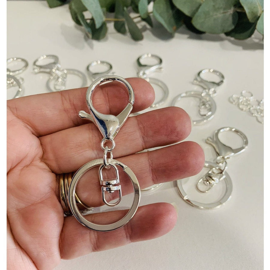 Silver Lobster Clips - Aston Blue