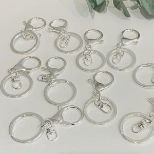 Silver Lobster Clips - Aston Blue