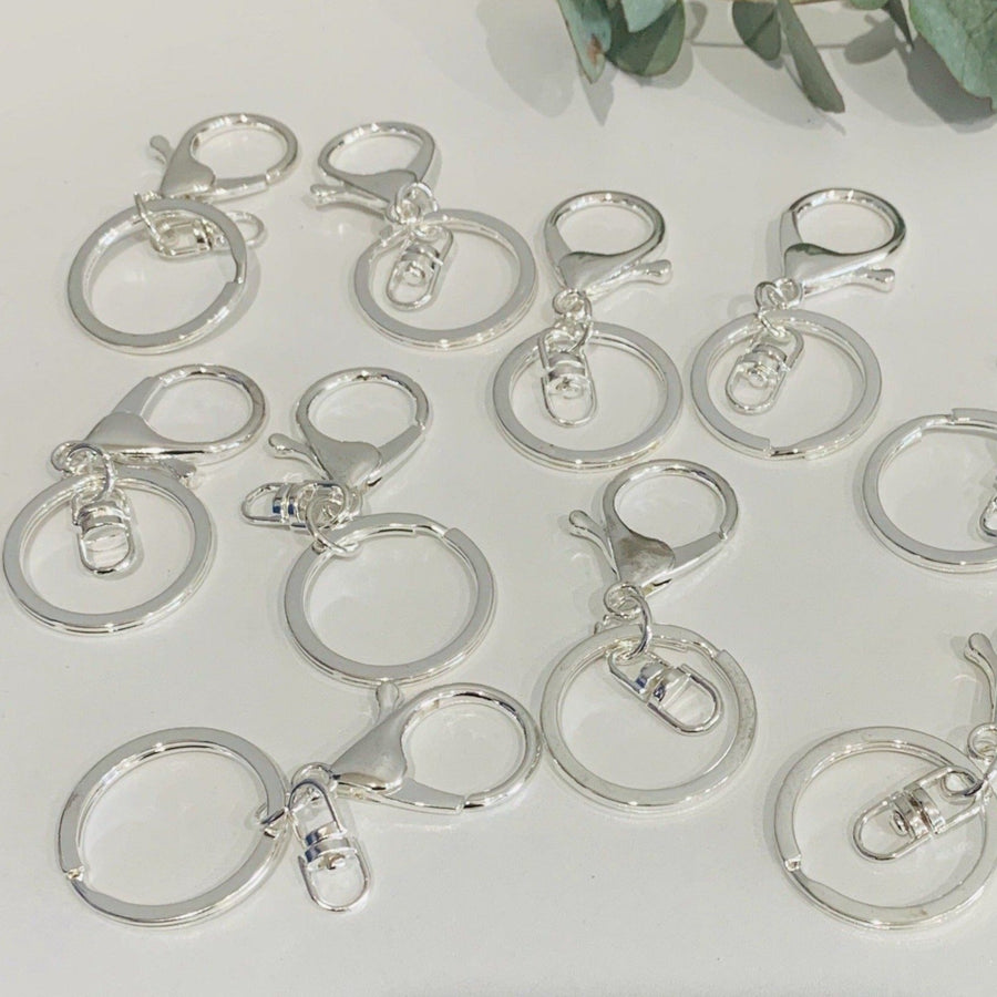 Silver Lobster Clips - Aston Blue
