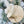 Family Name Dried Flower Ornament SKU111